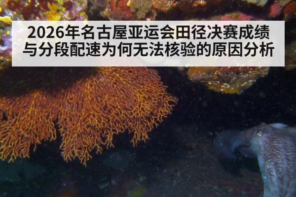 2026年名古屋亚运会田径决赛成绩与分段配速为何无法核验的原因分析